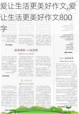 爱让生活更美好作文,爱让生活更美好作文800字