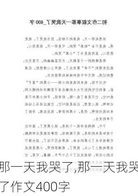 那一天我哭了,那一天我哭了作文400字