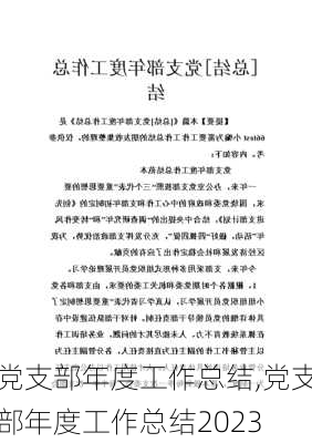 党支部年度工作总结,党支部年度工作总结2023