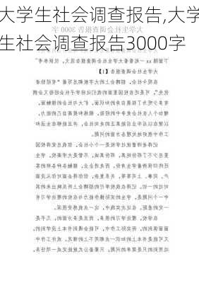 大学生社会调查报告,大学生社会调查报告3000字