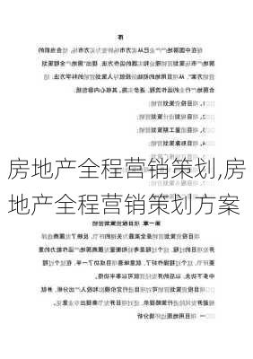 房地产全程营销策划,房地产全程营销策划方案