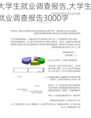 大学生就业调查报告,大学生就业调查报告3000字