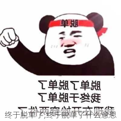 终于脱单了,终于脱单了什么意思