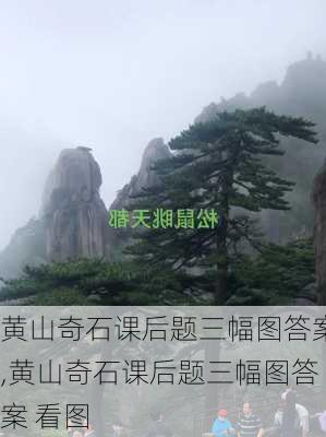 黄山奇石课后题三幅图答案,黄山奇石课后题三幅图答案 看图