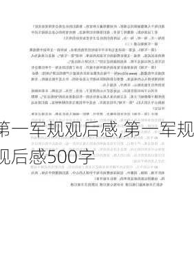 第一军规观后感,第一军规观后感500字