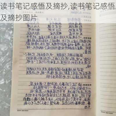 读书笔记感悟及摘抄,读书笔记感悟及摘抄图片