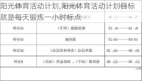 阳光体育活动计划,阳光体育活动计划目标就是每天锻炼一小时标点