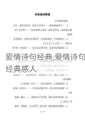 爱情诗句经典,爱情诗句经典感人