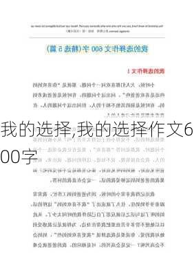 我的选择,我的选择作文600字