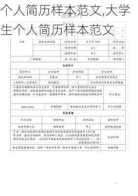 个人简历样本范文,大学生个人简历样本范文