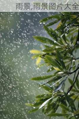 雨景,雨景图片大全