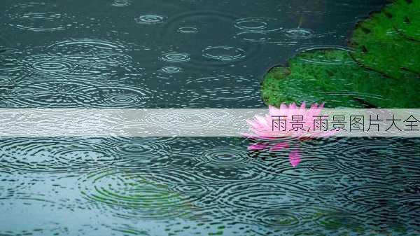 雨景,雨景图片大全