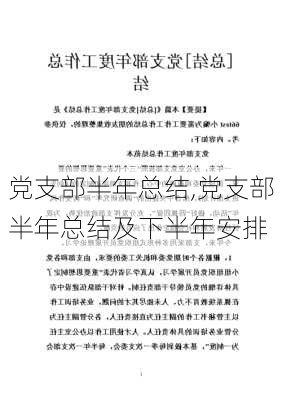 党支部半年总结,党支部半年总结及下半年安排