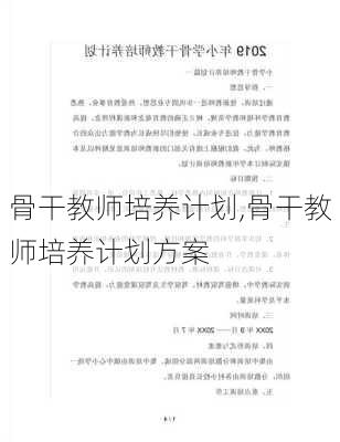 骨干教师培养计划,骨干教师培养计划方案