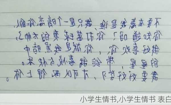 小学生情书,小学生情书 表白