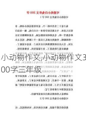 小动物作文,小动物作文300字三年级