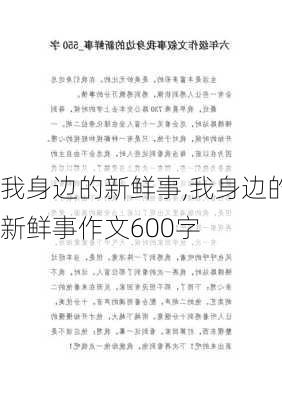 我身边的新鲜事,我身边的新鲜事作文600字