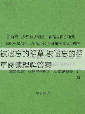 被遗忘的稻草,被遗忘的稻草阅读理解答案