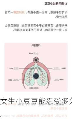 女生小豆豆能忍受多久,