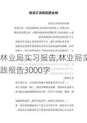 林业局实习报告,林业局实践报告3000字