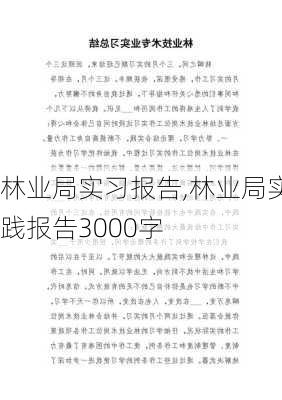 林业局实习报告,林业局实践报告3000字