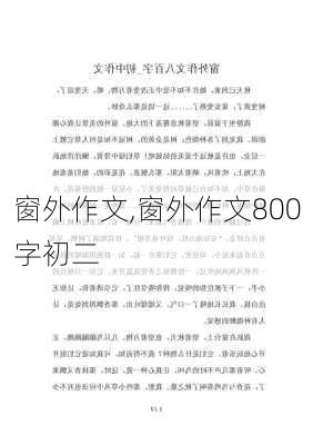 窗外作文,窗外作文800字初二