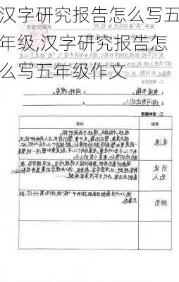 汉字研究报告怎么写五年级,汉字研究报告怎么写五年级作文