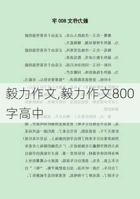 毅力作文,毅力作文800字高中