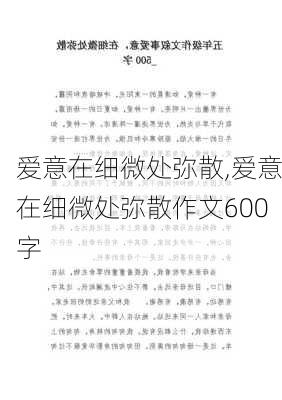 爱意在细微处弥散,爱意在细微处弥散作文600字