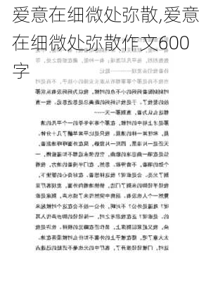 爱意在细微处弥散,爱意在细微处弥散作文600字