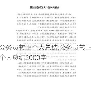 公务员转正个人总结,公务员转正个人总结2000字