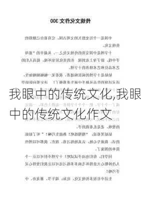 我眼中的传统文化,我眼中的传统文化作文