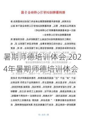 暑期师德培训体会,2024年暑期师德培训体会