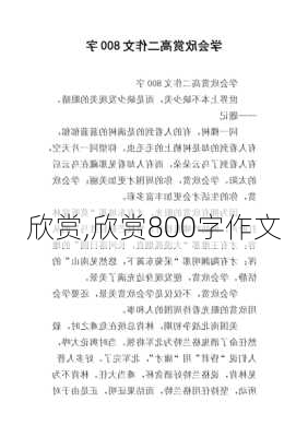 欣赏,欣赏800字作文