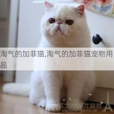 淘气的加菲猫,淘气的加菲猫宠物用品