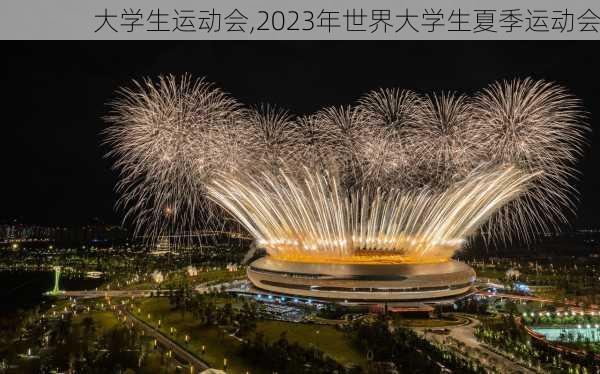 大学生运动会,2023年世界大学生夏季运动会