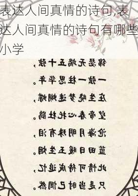 表达人间真情的诗句,表达人间真情的诗句有哪些小学