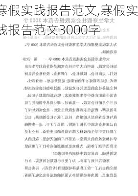 寒假实践报告范文,寒假实践报告范文3000字