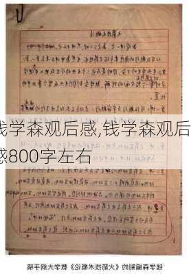 钱学森观后感,钱学森观后感800字左右