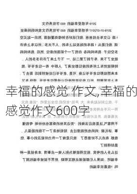 幸福的感觉 作文,幸福的感觉作文600字