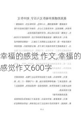 幸福的感觉 作文,幸福的感觉作文600字