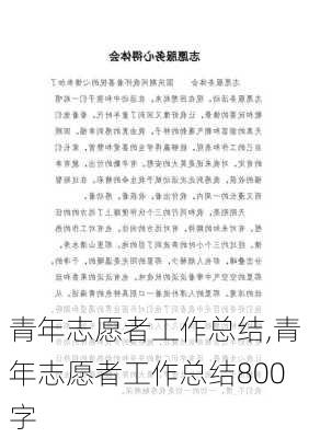 青年志愿者工作总结,青年志愿者工作总结800字