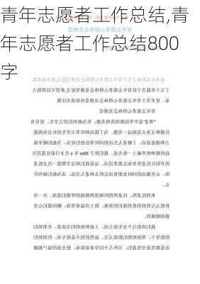 青年志愿者工作总结,青年志愿者工作总结800字