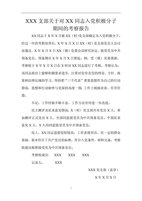 入党考察报告,入党考察报告范文