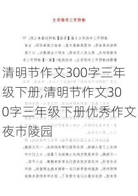 清明节作文300字三年级下册,清明节作文300字三年级下册优秀作文夜市陵园