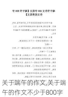 关于端午的作文,关于端午的作文不少于800字