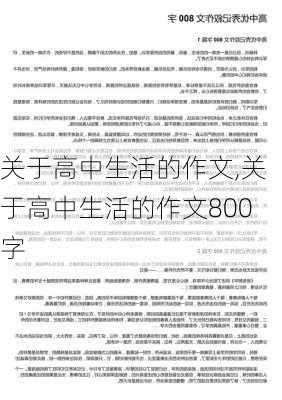 关于高中生活的作文,关于高中生活的作文800字