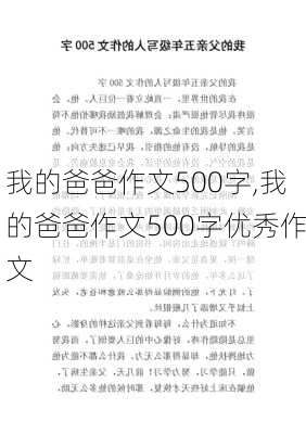 我的爸爸作文500字,我的爸爸作文500字优秀作文