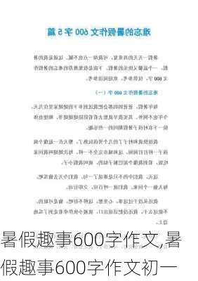 暑假趣事600字作文,暑假趣事600字作文初一