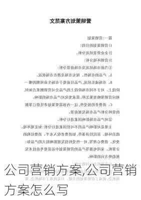 公司营销方案,公司营销方案怎么写